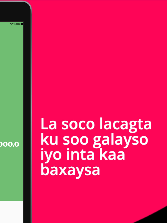 Xisaabtan - Somali budgeting