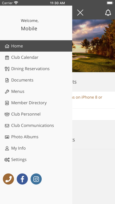 The International Golf Screenshot