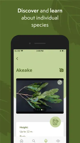Game screenshot NZ Trees hack