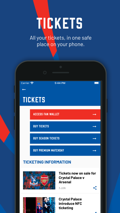Crystal Palace FC Screenshot