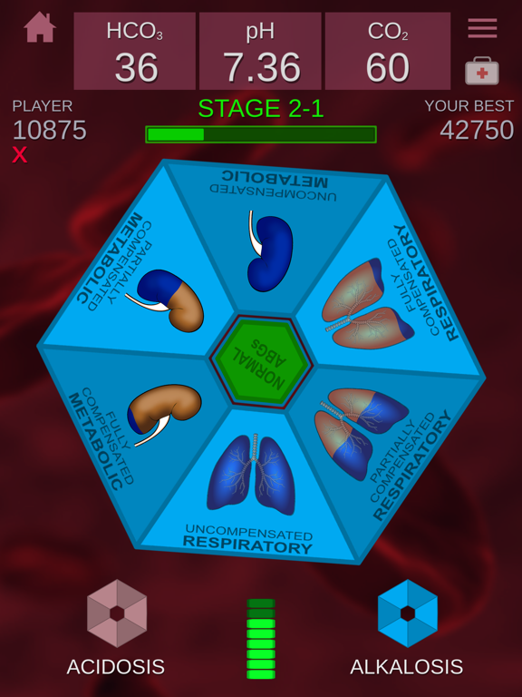 ABGs NOW! iPad screenshot 7 - Medical app