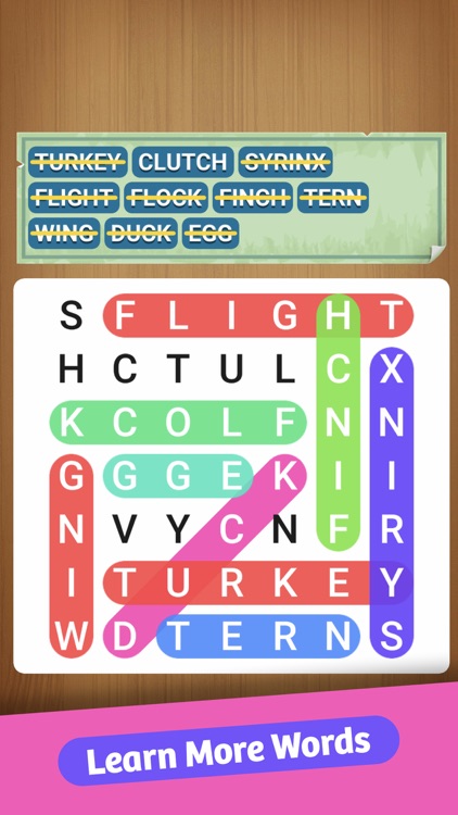 Hidden Words : Word Search Fun