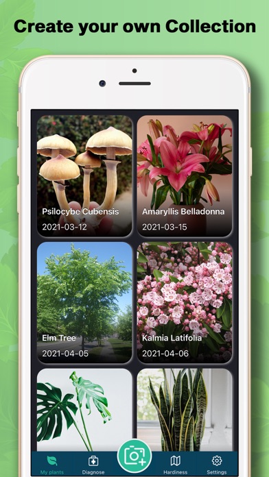 PlantIDer - Plant Identifier Screenshot