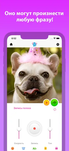 Game screenshot Мой говорящий питомец mod apk