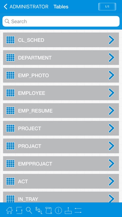 iDB2Prog - DB2 Database Client screenshot-5