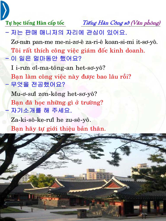 Korean for the Office