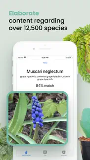 plant id match: identification iphone screenshot 4