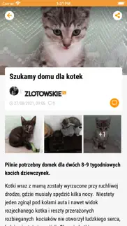 zlotowskie.pl iphone screenshot 2