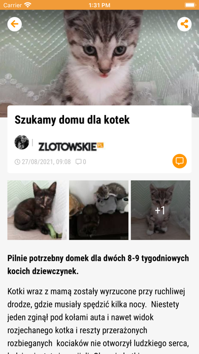 zlotowskie.pl Screenshot