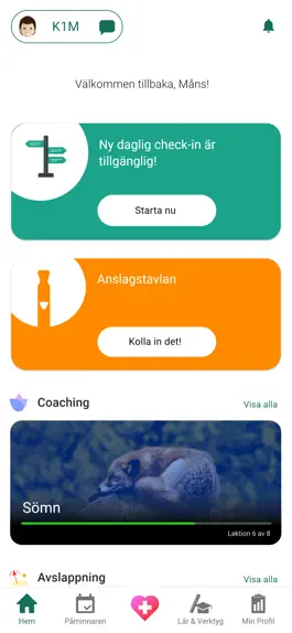 Game screenshot Handle-IT hack