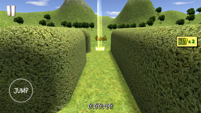 3D Maze / Labyrinth Screenshot