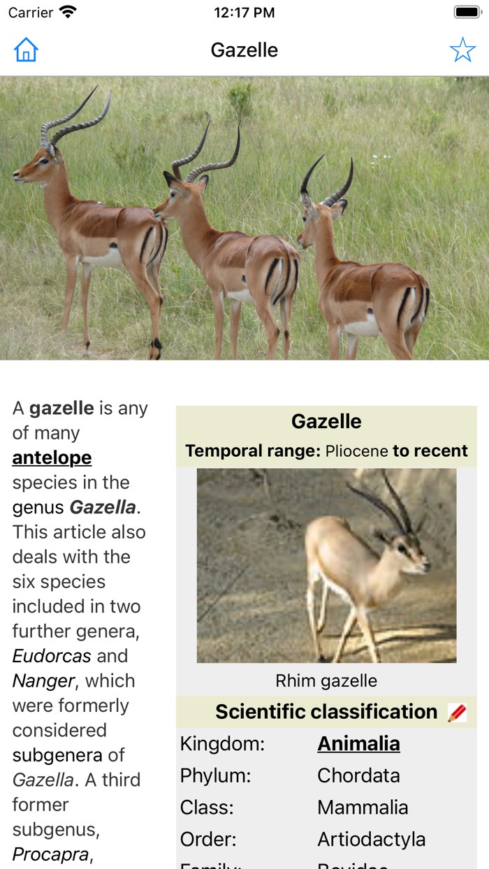 Encyclopedia of Animals