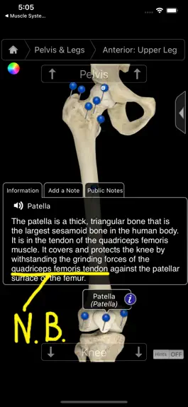 Game screenshot Skeleton System Pro III-iPhone hack