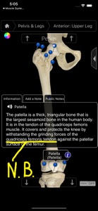 Skeleton System Pro III-iPhone screenshot #3 for iPhone