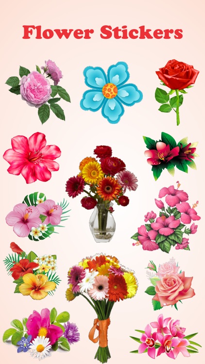 Flower Blossom Stickers