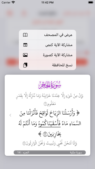 Screenshot #3 pour الفانوس - محرك بحث قرآني متقدم