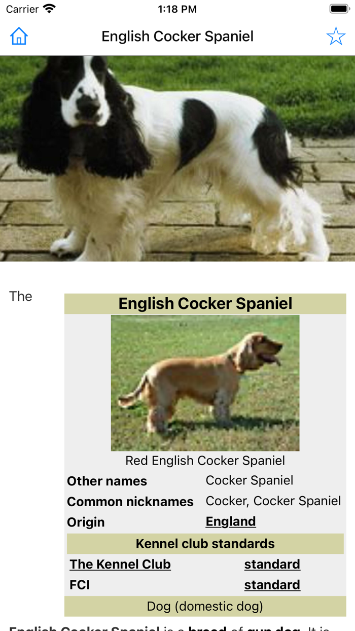 Encyclopedia of Dogs