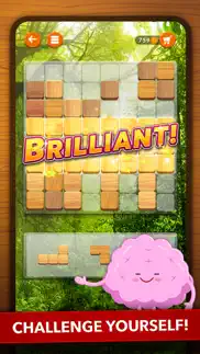 blockscapes - block puzzle iphone screenshot 2