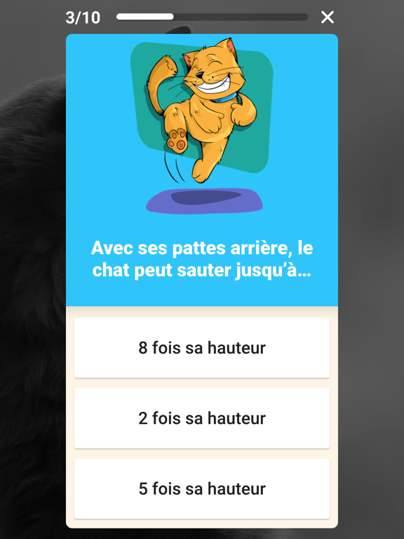 Screenshot #5 pour Speez - Les chats