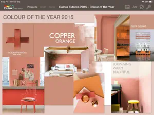 Dulux Colour Concept screenshot #2 for iPad