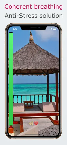 Game screenshot Controlled Breathing pro mod apk