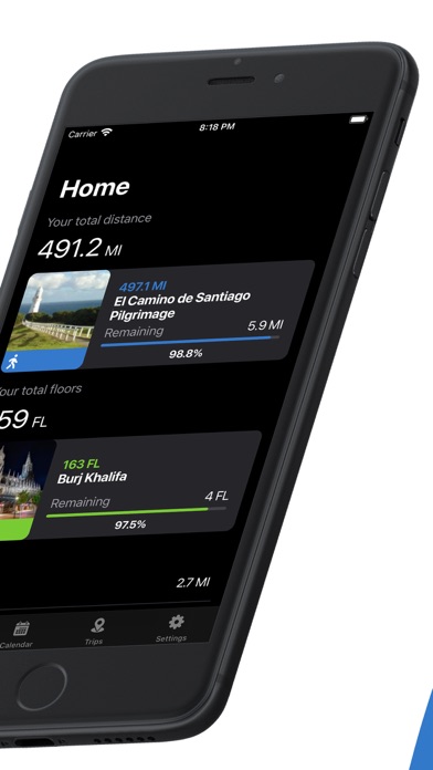 Screenshot #2 pour Travelometer