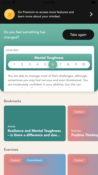 MindSummit Screenshot