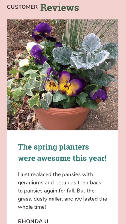 BloomBox Your Garden Delivered screenshot-4