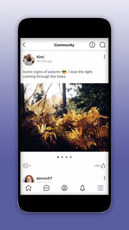 A Year With My Camera screenshot-5