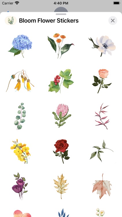 Bloom Flower Stickers