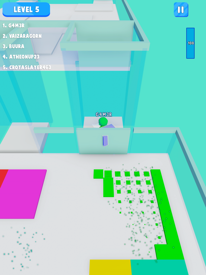 Pressure Washer Race