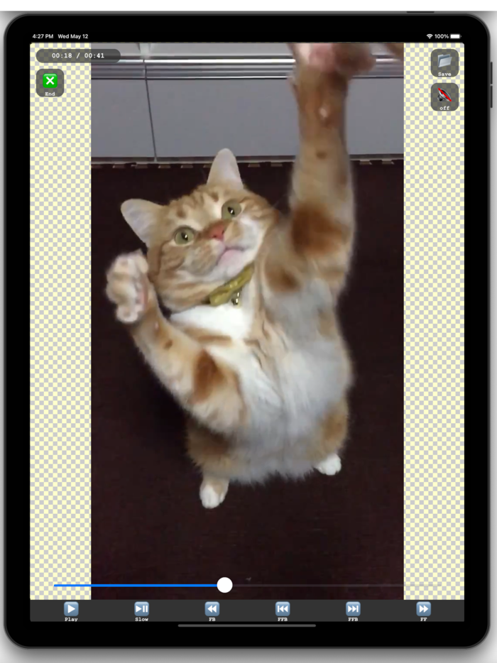 Movie andgtandgt Photo LITE