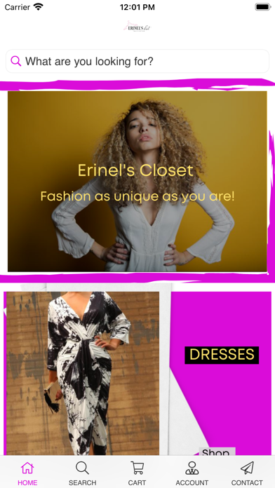 Erinels Closet Screenshot