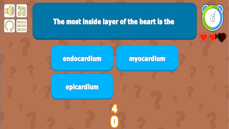 Cardiovascular System QZ