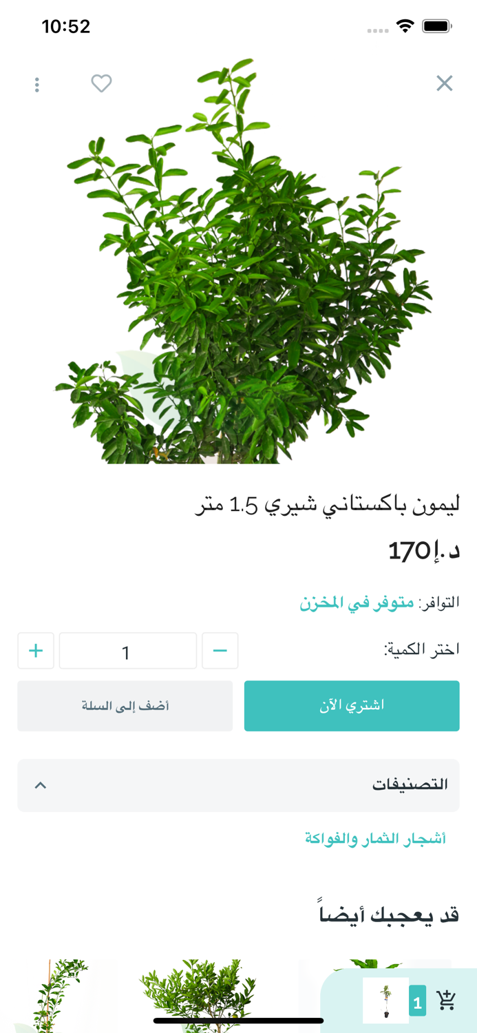 Mashatal - مشاتل