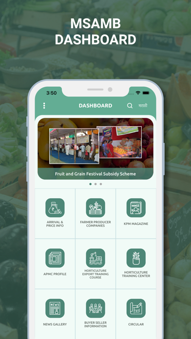 MSAMB Screenshot