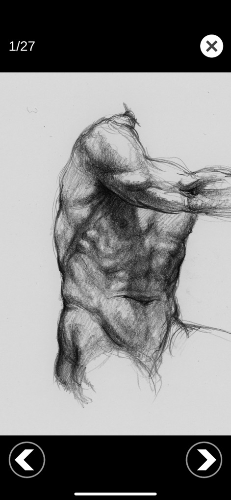 3D Anatomy for the Artist - 이 드로잉 갤러리는 정교하게 표현된 상체 근육과 섬세한 인체 해부학적 특징을 강조하여 예술가에게 풍부한 시각적 영감을 제공합니다.