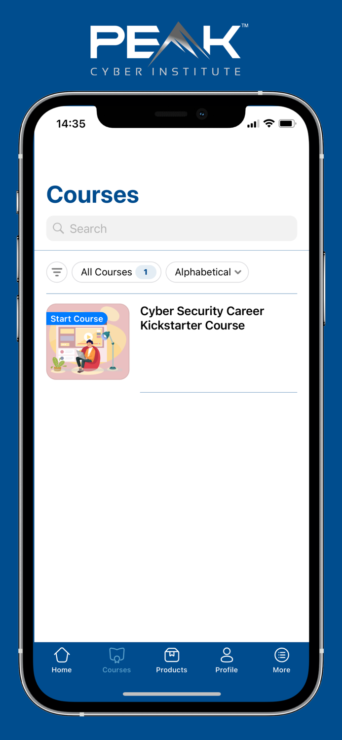 Peak Cyber Institute