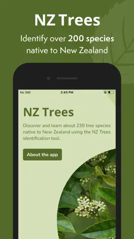 Game screenshot NZ Trees mod apk