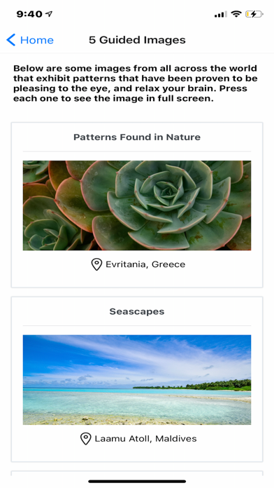 Screenshot #2 pour Naturomind