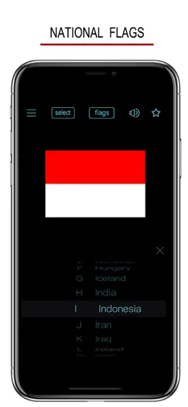 Game screenshot National Anthems & Flags hack