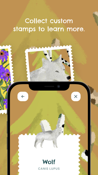 Wild Cities AR Screenshot