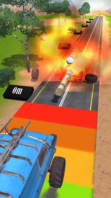 Ram Shot Screenshot