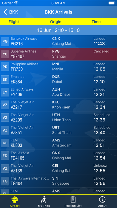Suvarnabhumi Airport BKK Info Screenshot
