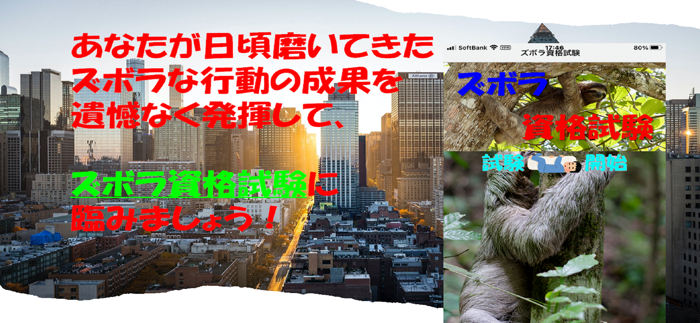 ズボラ資格試験