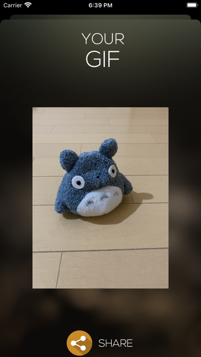 GIF Studios Screenshot