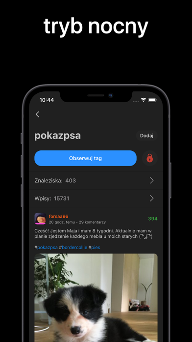 Zakop - Wykop.pl browser Screenshot