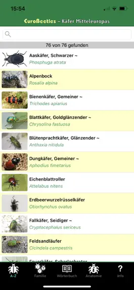 Game screenshot EuroBeetles mod apk