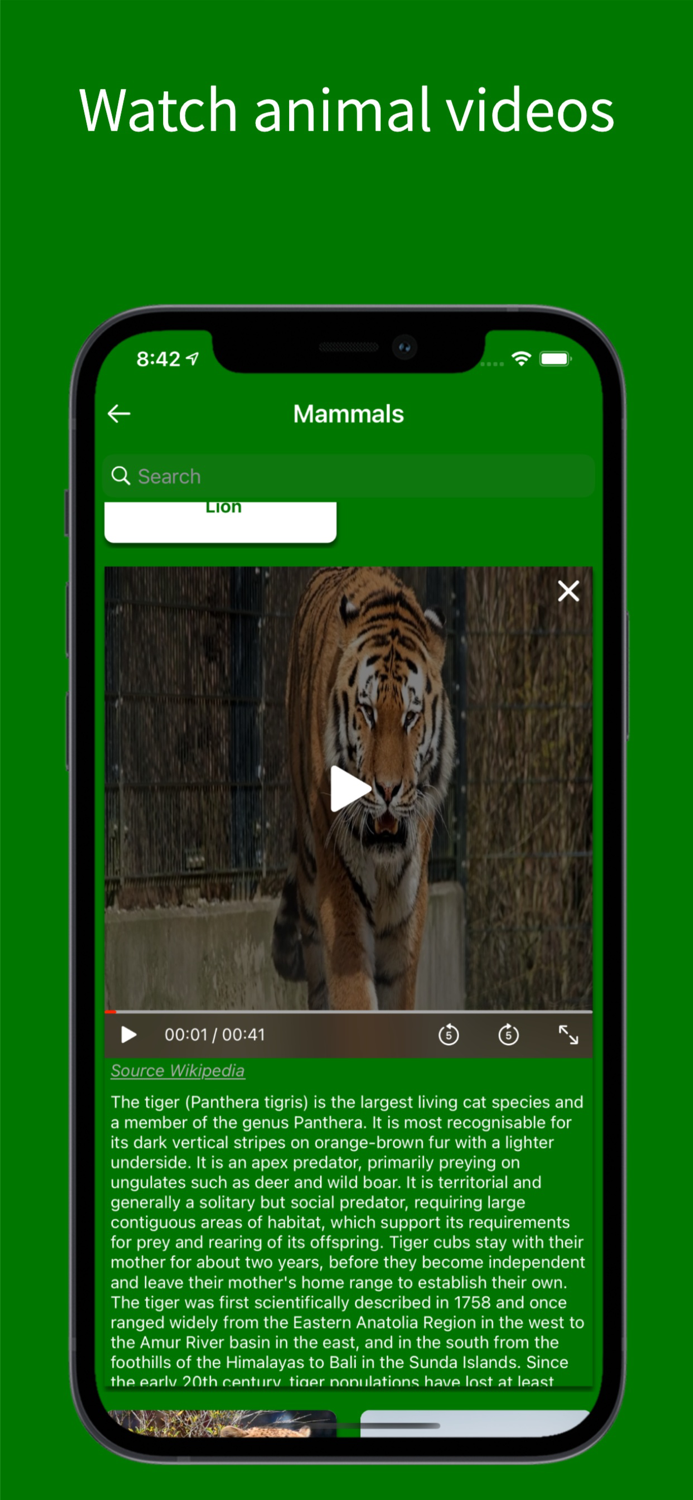 Virtual Jungle Safari