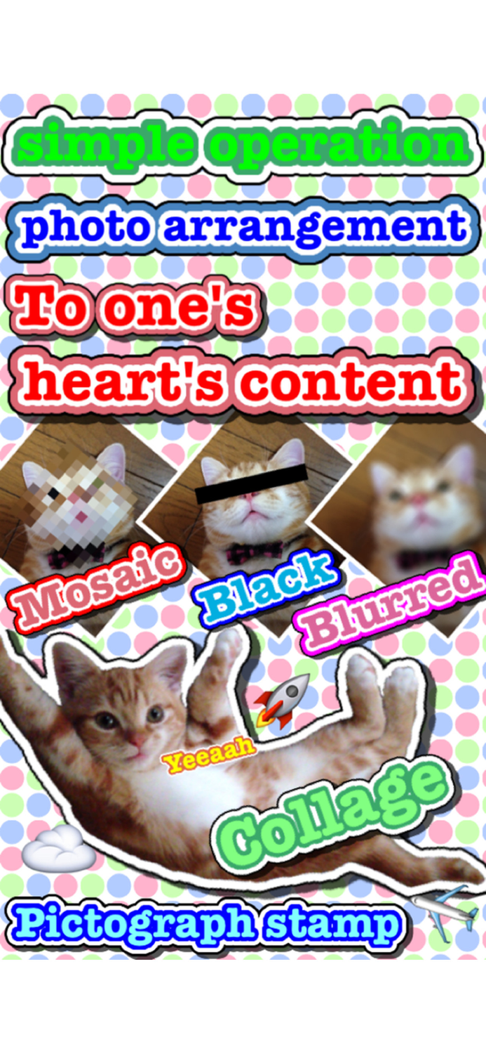 Photo Arrangement LITE